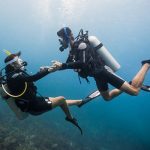 Spots for a Scuba Diving Honeymoon - Underwater Adventures For a Newlywed Couple